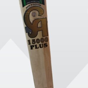 KASHMIR WILLOW CRICKET BAT