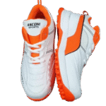 ascom shoe 2 - Copy - Copy
