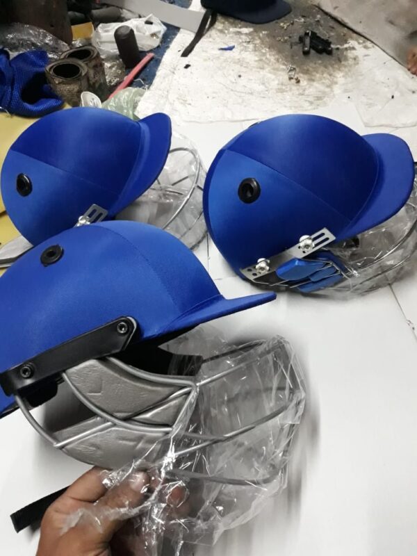 Cricket Helmet